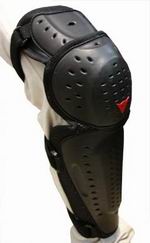 DAiNESE @